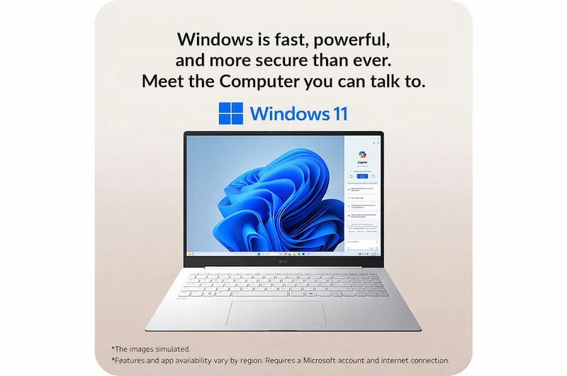 windows 11